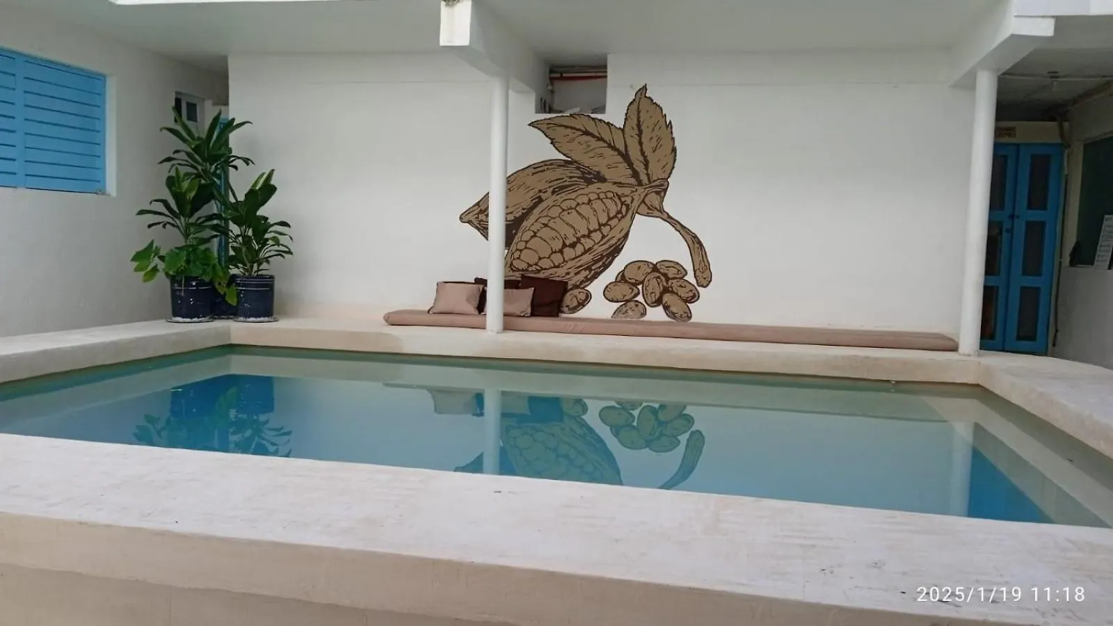 Hotel Cacao Spa Cozumel Mexico
