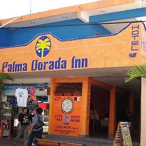 Palma Dorada Hotel